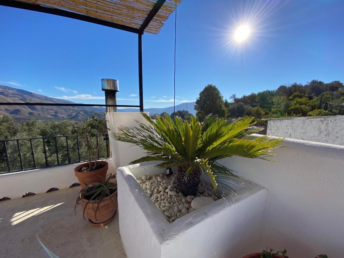 Casa Limon Bed & Breakfast Pinos del Valle Ngoại thất bức ảnh