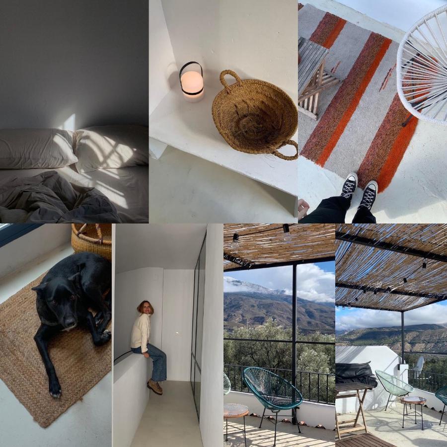 Casa Limon Bed & Breakfast Pinos del Valle Ngoại thất bức ảnh